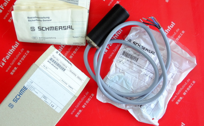 Schmersal 101110514 SCHMERSAL Magnet-Sicherheits sensor BNS 300-01ZG