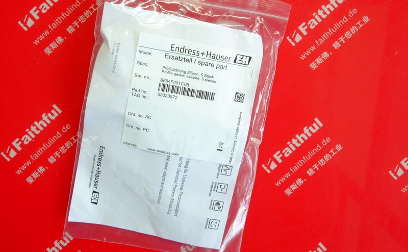 E H 52023572 ENDRESS HAUSER Dichtung scheibe Endress Hauser