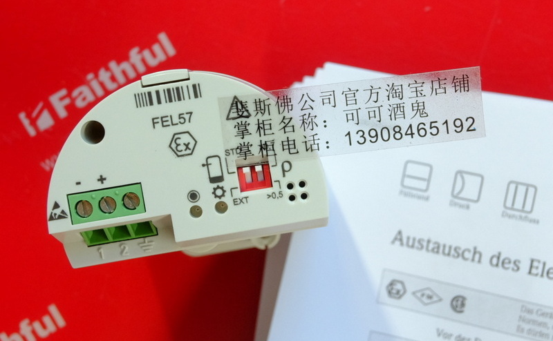 E H FEL57 ENDRESS HAUSER Elektronisches Plugin 52002309 Endress Hauser