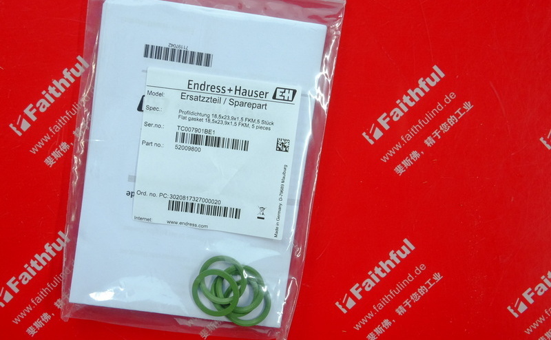 E H 52009800 ENDRESS HAUSER Flachdichtung dichtung Endress Hauser