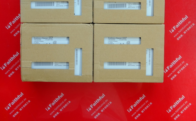 E H FTL325P-T3E3 ENDRESS HAUSER Stimmgabel Signal konverter Endress Hauser
