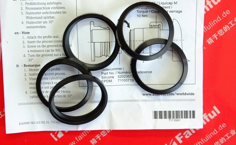 E H 71100719 ENDRESS HAUSEREPDM Unter leg scheiben Endress Hauser