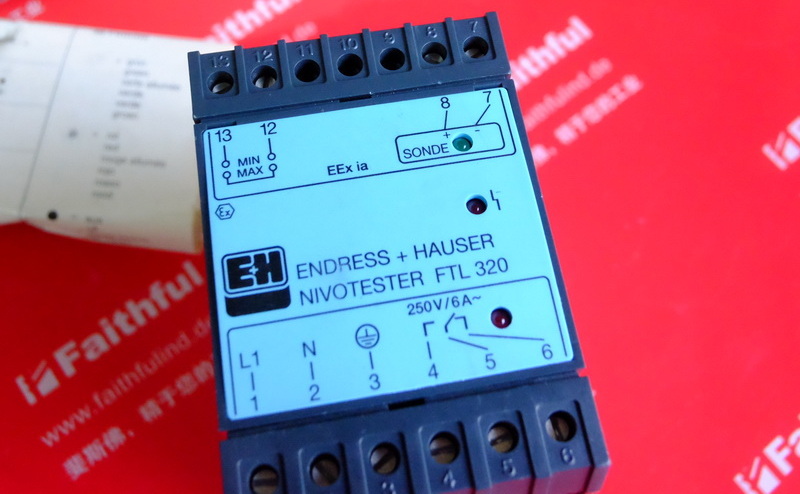 E H FTL320-F1A1 ENDRESS HAUSER Schwingungs begrenzung erkennung 919929-0006 Endress Hauser