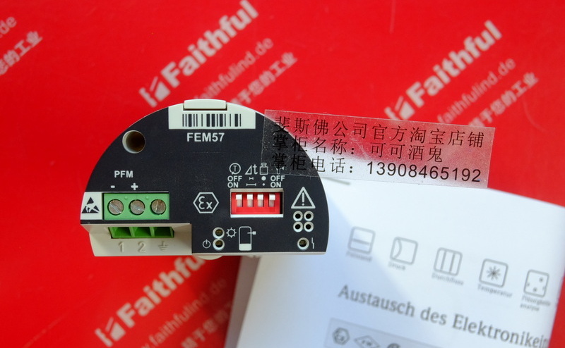 E H FEM57 ENDRESS HAUSER Elektronisches Plugin 52026501 Endress Hauser