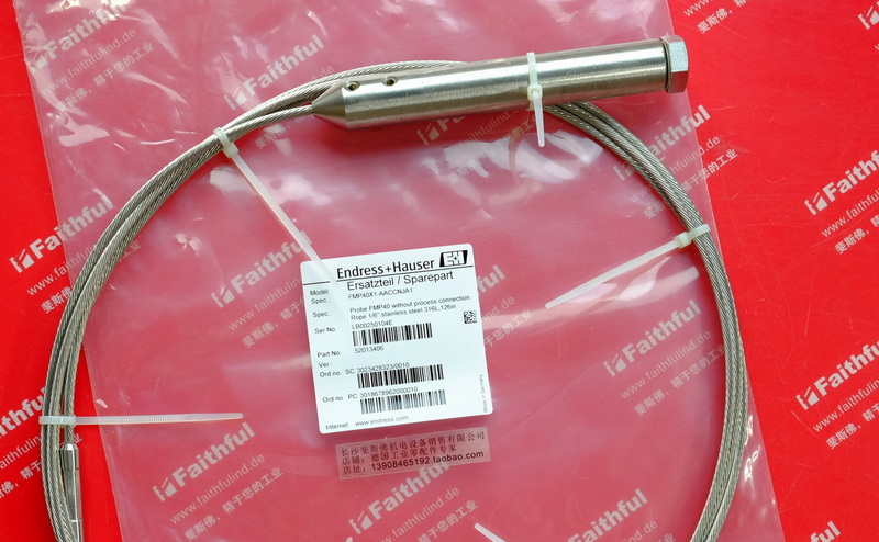 E H FMP40X1-AACCNJA1 ENDRESS HAUSER Neue FMP40-Sonde mit Gegengewicht 3200mm